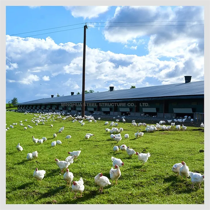 Steel Pourtry Farm