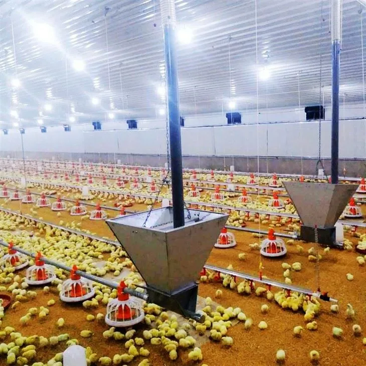 A Poultry Farm