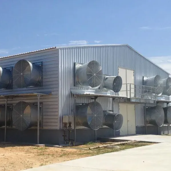 Modern Poultry Farm