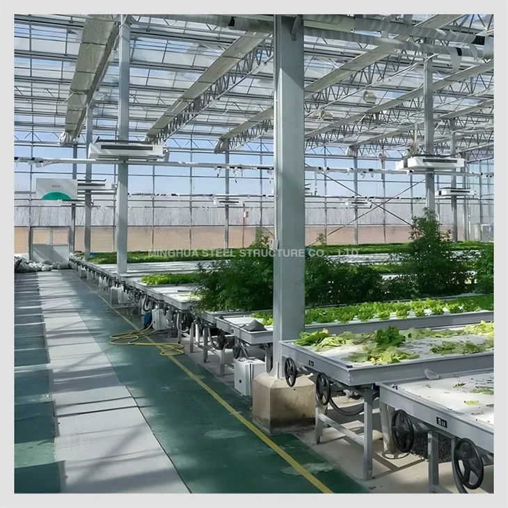 Steel Structure Vegetable Greenhouse